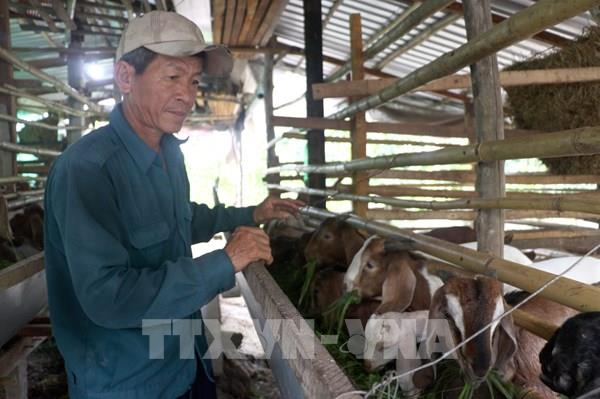 Đưa tín dụng chính sách đến với người nghèo – Bài 1: Động lực từ vốn chính sách