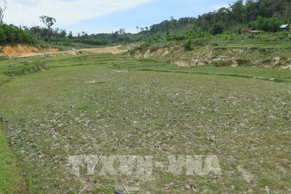 Liên tiếp xảy ra động đất, Kon Tum triển khai ứng phó