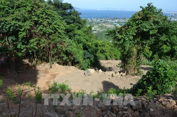 Vụ tự ý san ủi rừng Hải Vân: Xử phạt vi phạm, buộc khôi phục nguyên trạng