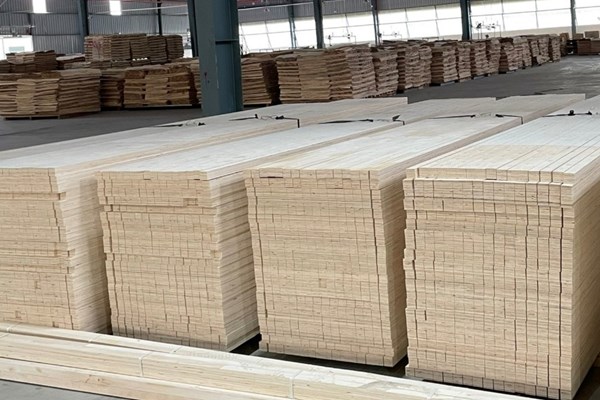 Gia hạn điều tra chống lẩn tránh thuế phòng vệ thương mại hàng Việt Nam 