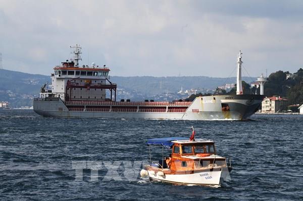 Ukraine tìm cách tạo điều kiện cho hoạt động xuất khẩu ngũ cốc