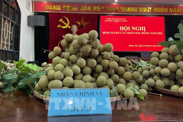 Hưng Yên bình tuyển cây nhãn đầu dòng năm 2022