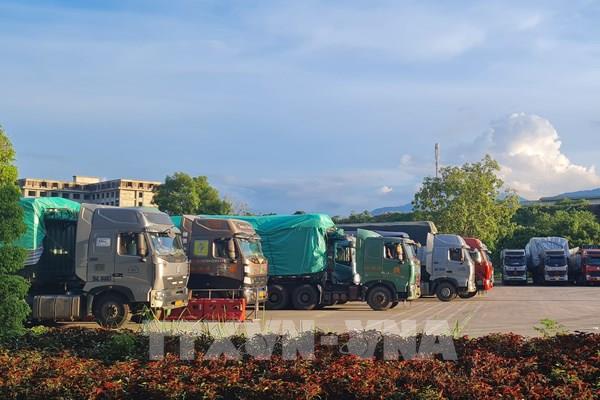 Giải phóng phương tiện chở hàng “mắc kẹt” tại cửa khẩu Lào Cai