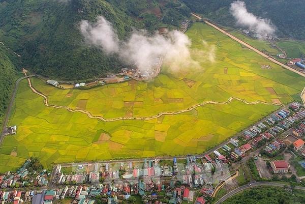 Mùa lúa chín Mường Khương