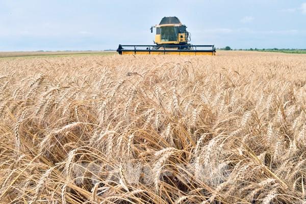 Kinh tế Ukraine có thể ổn định trong năm 2023