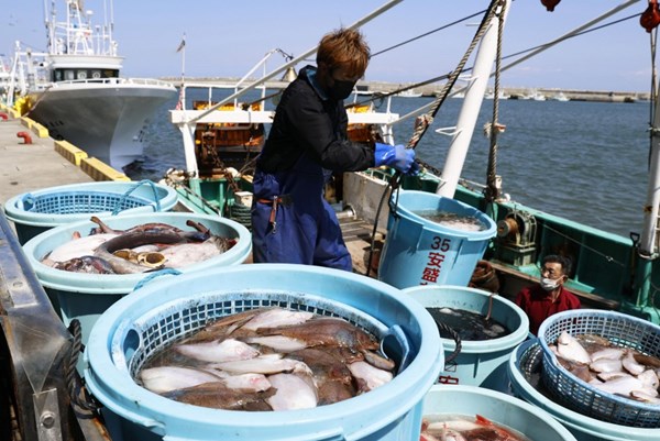 日本は水産業のデジタル化を推進