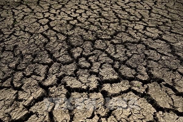 Các sáng kiến giúp ngành nông nghiệp Trung Quốc ứng phó với hạn hán