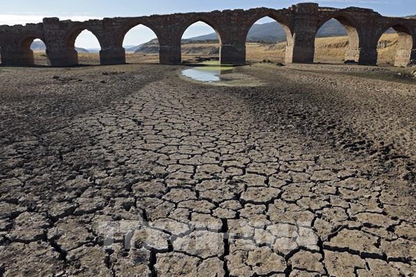  Hạn hán nghiêm trọng nhất ở châu Âu trong vòng 500 năm trở lại đây