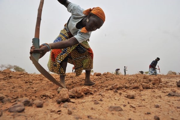 Niger tạo mưa để cải thiện tình hình hạn hán