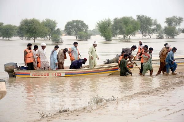 Pakistan: “Tuyệt đối” không tuyên bố vỡ nợ bất chấp thảm họa lũ lụt