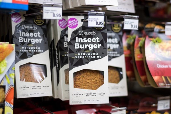 Tương lai côn trùng trở thành thực phẩm ở Thụy Sỹ vẫn xa vời