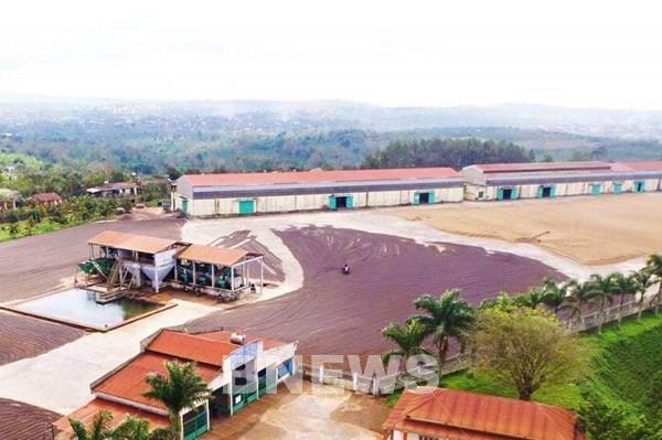 Cà phê đặc sản CADA ra mắt thị trường nội địa