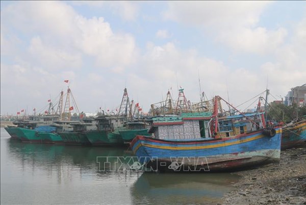 Khắc phục "thẻ vàng " IUU: Bà Rịa-Vũng Tàu khó xử phạt tàu cá vi phạm khai thác thủy sản