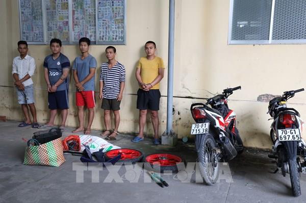 Triệt xóa nhóm đối tượng thực hiện 38 vụ trộm liên huyện