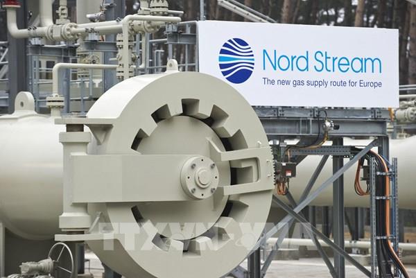 Gazprom tạm ngừng vận chuyển khí đốt qua đường ống Dòng chảy phương Bắc 1