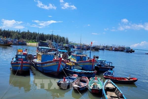 Khẩn trương thực hiện các biện pháp mạnh chống khai thác IUU