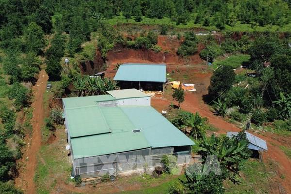 Đắk Nông: Việc cấp sai 65 sổ đỏ lỗi do đâu?