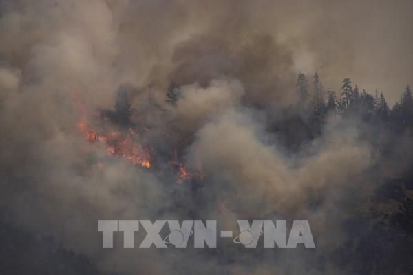 Nắng nóng gây cháy rừng tại bang California  (Mỹ)