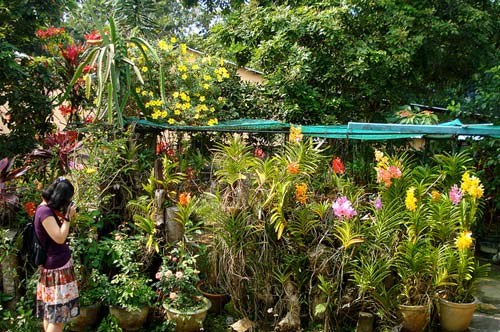 Giải pháp cho nông nghiệp đô thị ở Cần Thơ
