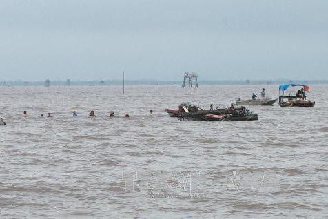 Hải Phòng "xóa" vùng nuôi ngao tự phát, trả lại ngư trường truyền thống