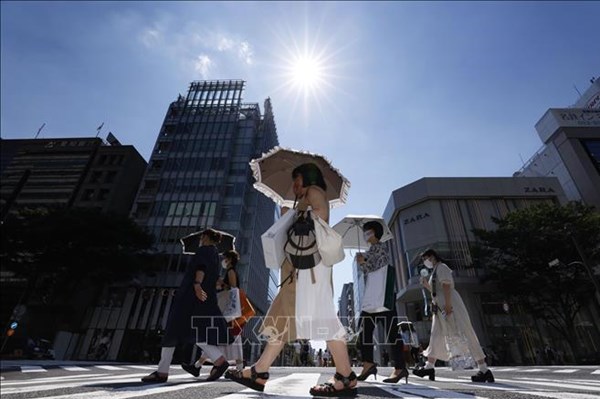 Mùa Hè 2023 nóng nhất trong 2.000 năm qua