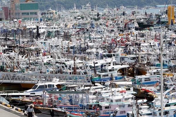 Doanh nghiệp Hàn Quốc tạm ngừng hoạt động để ứng phó với siêu bão Hinnamnor