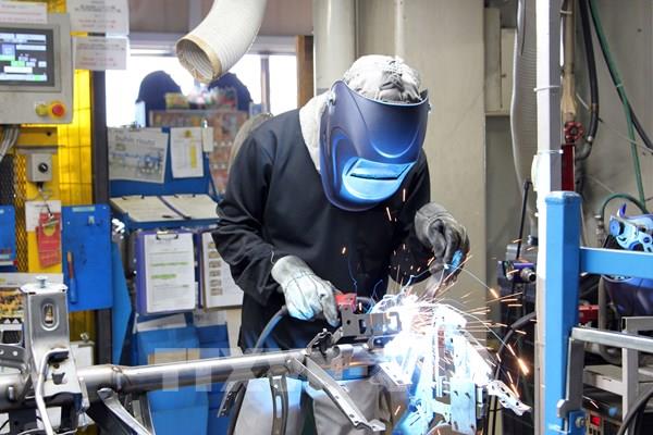 Chính phủ Nhật Bản cải cách chương trình thực tập sinh nước ngoài