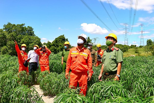 EVN đã đảm bảo cung ứng điện an toàn, ổn định dịp lễ Quốc khánh 2/9