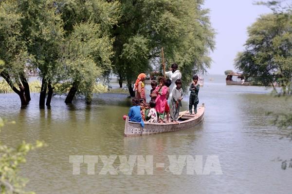 Hơn 30% diện tích Pakistan đang chìm dưới biển nước