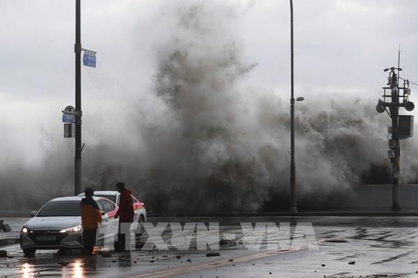 Siêu bão Hinnamnor gây thiệt hại nặng tại Hàn Quốc