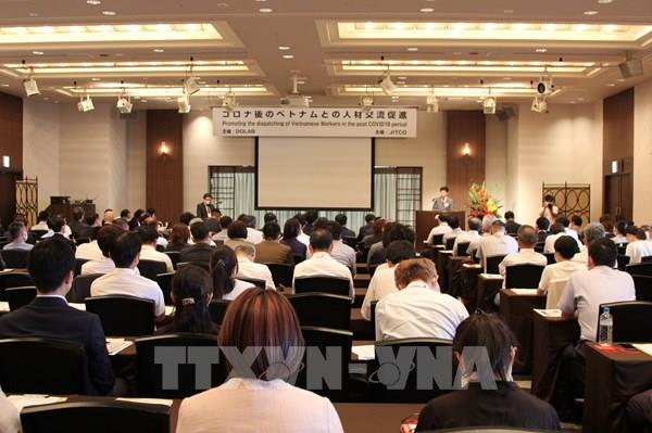 Hơn 350.000 người Việt Nam đã tới Nhật Bản để thực tập kỹ năng
