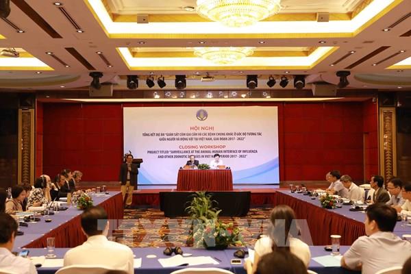 Cách nào giám sát dịch cúm gia cầm và các bệnh lây từ động vật sang người?