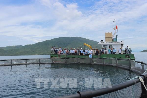 Phát triển bền vững nuôi biển: * Bài 2: Tháo gỡ điểm nghẽn về chính sách