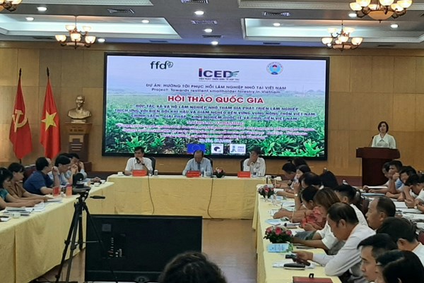 Để các hợp tác xã lâm nghiệp tăng hiệu quả bảo vệ, phát triển rừng