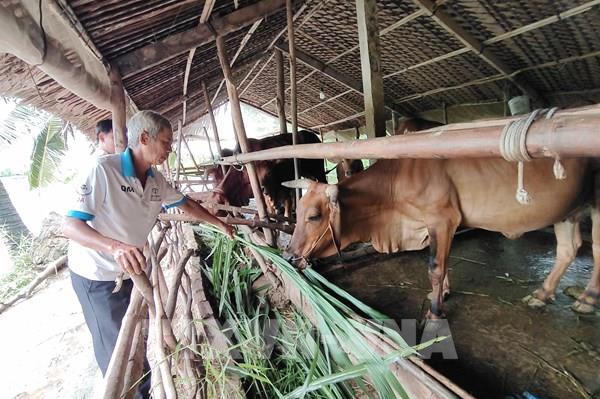 Hiện thực ước mơ thoát nghèo của nơi đặc biệt khó khăn