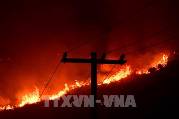 Mỹ: Cháy rừng lan nhanh tại bang California