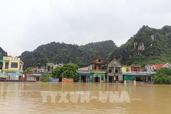 Ninh Bình: Nhiều diện tích hoa màu, thủy sản bị ảnh hưởng do mưa lũ