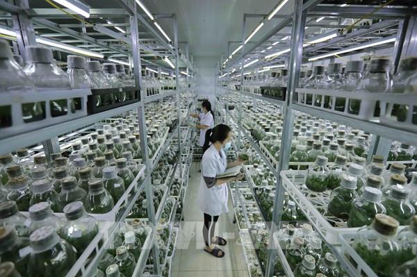 Bắt nhịp xu thế nông nghiệp xanh