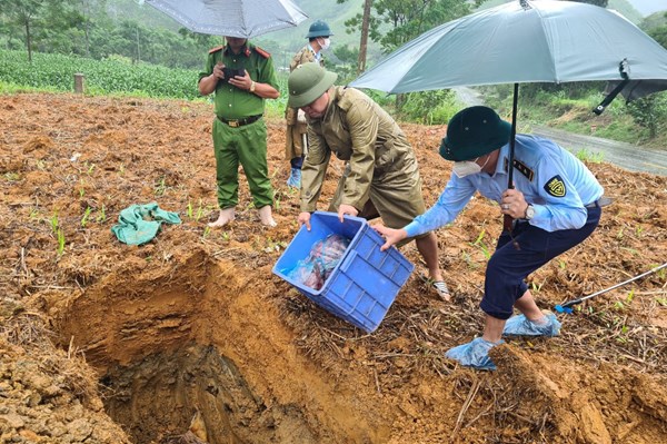 Tiêu huỷ sản phẩm động vật không rõ nguồn gốc xuất xứ