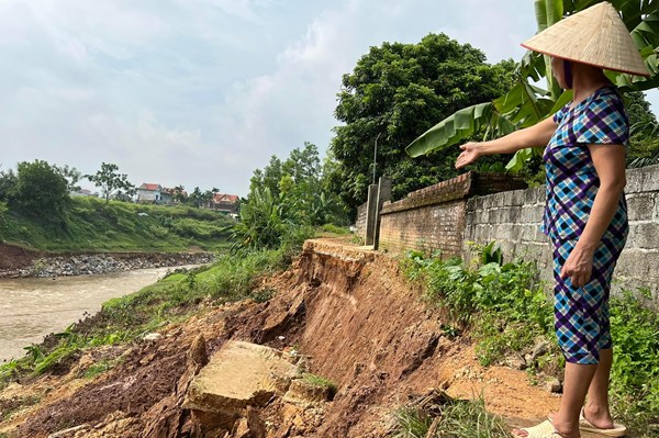 Sạt lở nghiêm trọng ở Phú Thọ: Cần sớm xử lý kè cho người dân