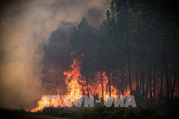 Cháy rừng tại Tây Nam nước Pháp thiêu rụi hàng nghìn ha