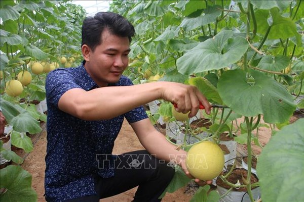 Bến Tre phát triển các sản phẩm có lợi thế