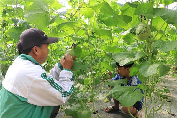 Đồng Tháp mở rộng thị trường tiêu thụ sản phẩm