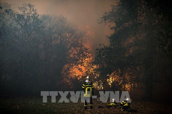 Cháy rừng ở Tây Nam nước Pháp đã được kiểm soát