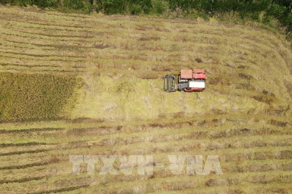 Buôn làng Chư A Thai "thay áo mới"