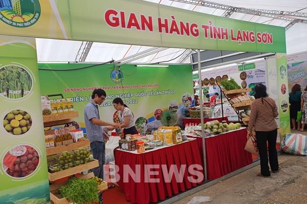 Kết nối hiệu quả các sản phẩm vùng miền tới người tiêu dùng