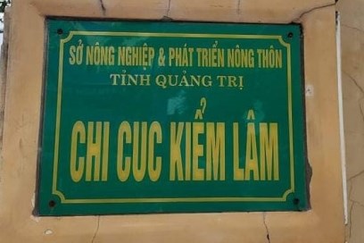 Cách tất cả chức vụ trong Đảng đối với Chi cục trưởng Chi cục Kiểm lâm tỉnh Quảng Trị