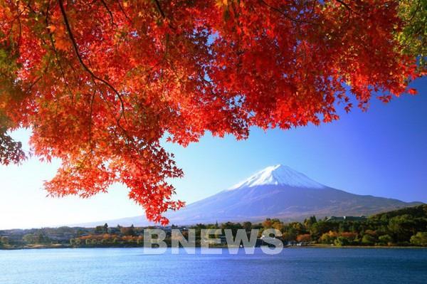 Vietravel tung gói ưu đãi hấp dẫn cho các tuyến du lịch đến Đông Bắc Á