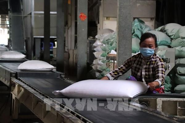 Bộ Công Thương lưu ý trách nhiệm của VFA và thương nhân trong xuất khẩu gạo