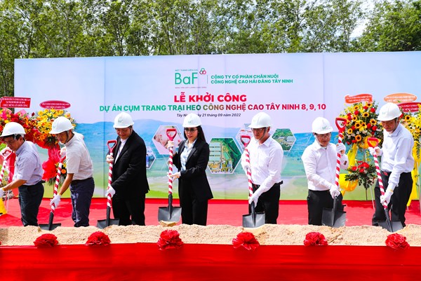 Tây Ninh xây dựng 4 dự án cụm trang trại nuôi heo công nghệ cao quy mô lớn